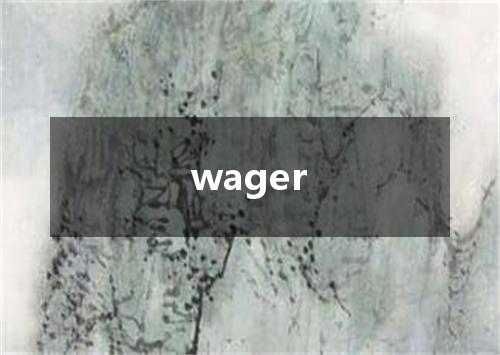 wager是什么意思