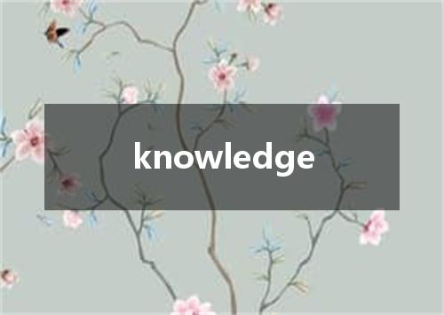 knowledge是什么意思