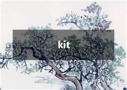 kit是什么意思
