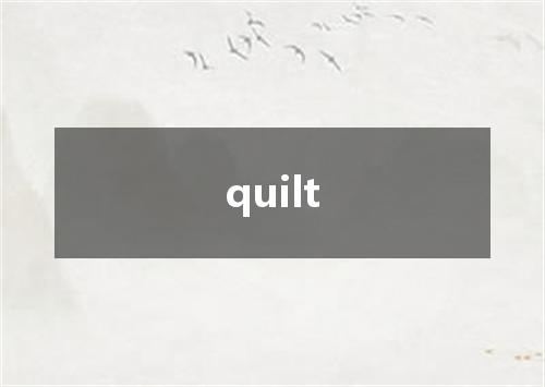 quilt是什么意思