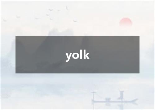 yolk是什么意思