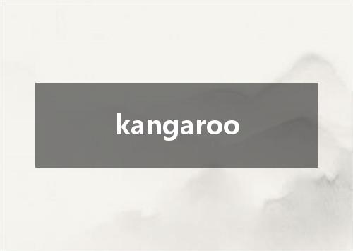 kangaroo是什么意思