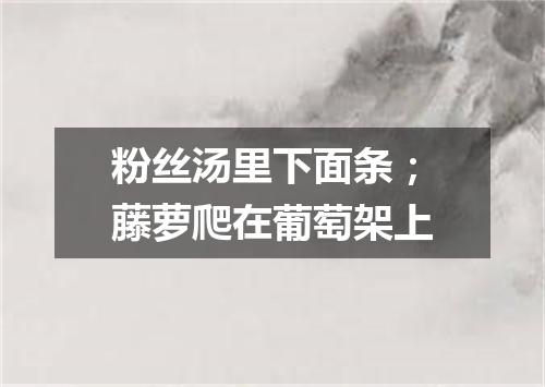 粉丝汤里下面条；藤萝爬在葡萄架上