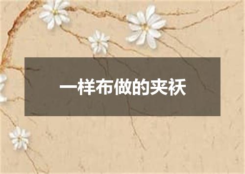 一样布做的夹袄