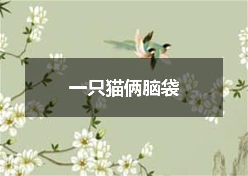 一只猫俩脑袋