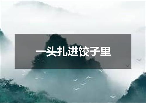 一头扎进饺子里