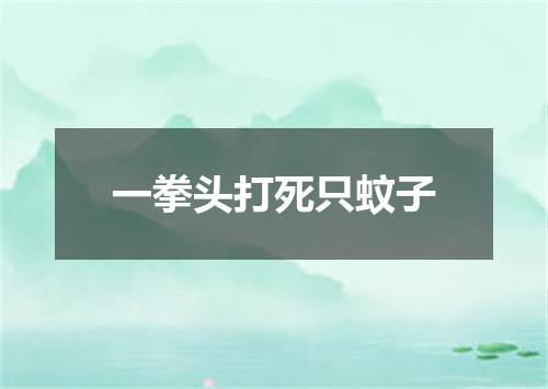 一拳头打死只蚊子