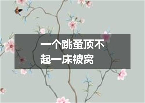 一个跳蚤顶不起一床被窝
