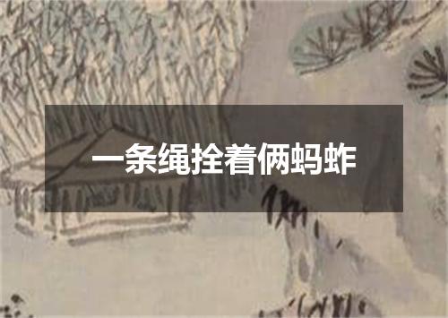 一条绳拴着俩蚂蚱