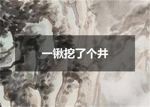 一锹挖了个井