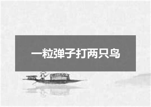 一粒弹子打两只鸟
