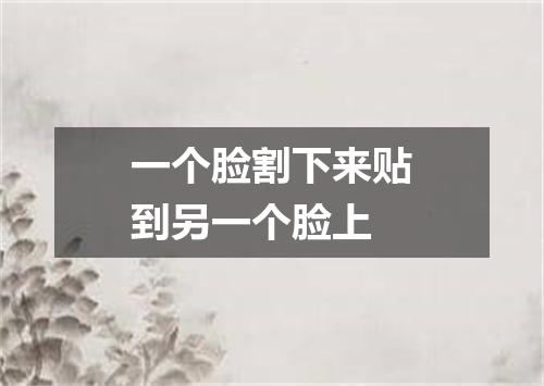 一个脸割下来贴到另一个脸上
