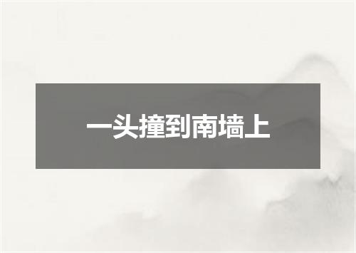 一头撞到南墙上