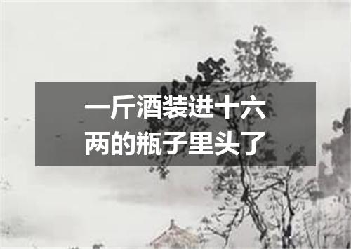 一斤酒装进十六两的瓶子里头了
