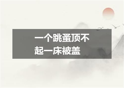 一个跳蚤顶不起一床被盖