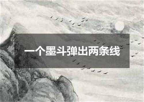 一个墨斗弹出两条线