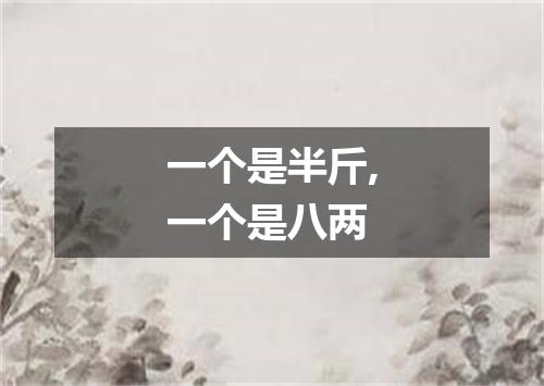 一个是半斤,一个是八两