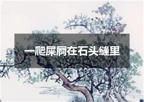 一爬屎屙在石头缝里