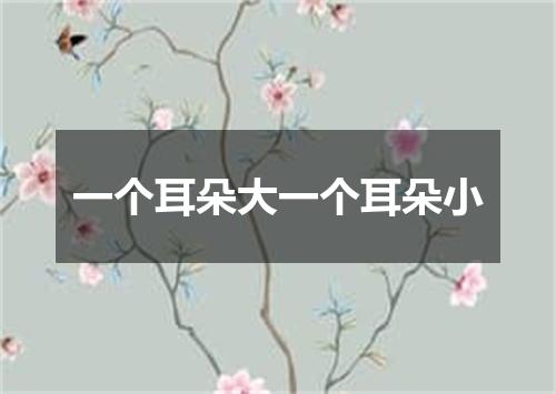 一个耳朵大一个耳朵小
