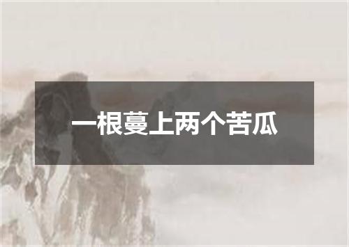 一根蔓上两个苦瓜