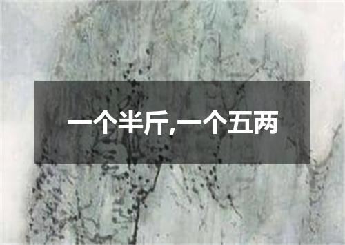一个半斤,一个五两