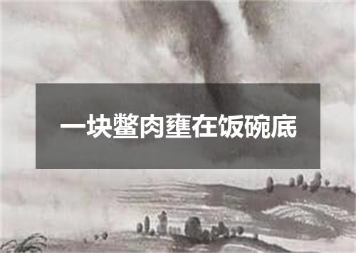 一块鳖肉壅在饭碗底