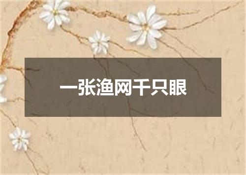 一张渔网千只眼