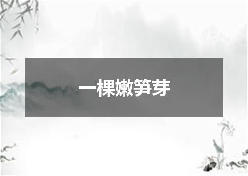一棵嫩笋芽