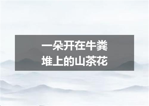 一朵开在牛粪堆上的山茶花