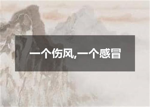 一个伤风,一个感冒