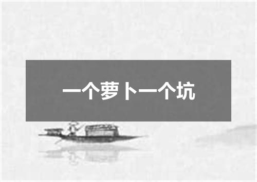 一个萝卜一个坑