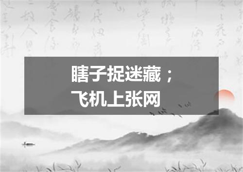 瞎子捉迷藏；飞机上张网