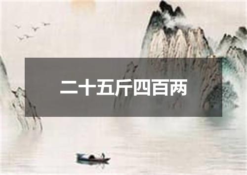 二十五斤四百两