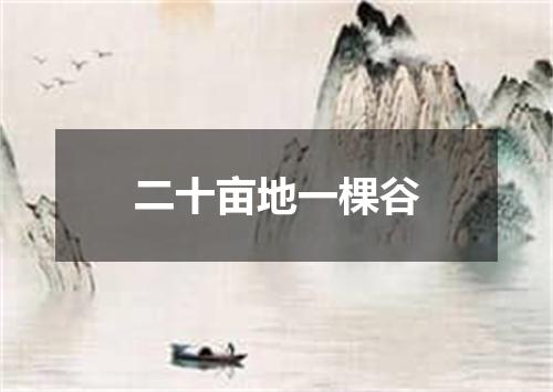 二十亩地一棵谷