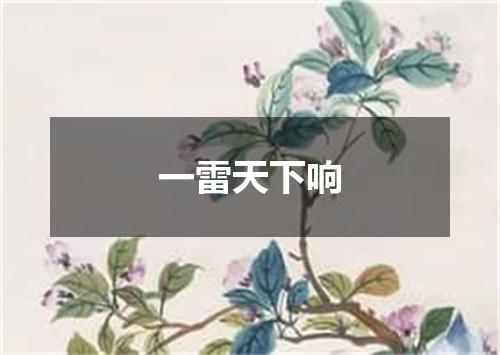 一雷天下响