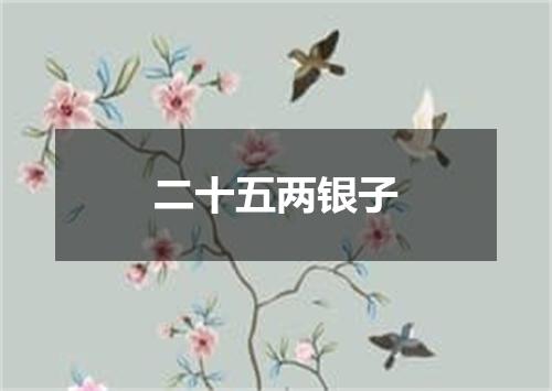 二十五两银子