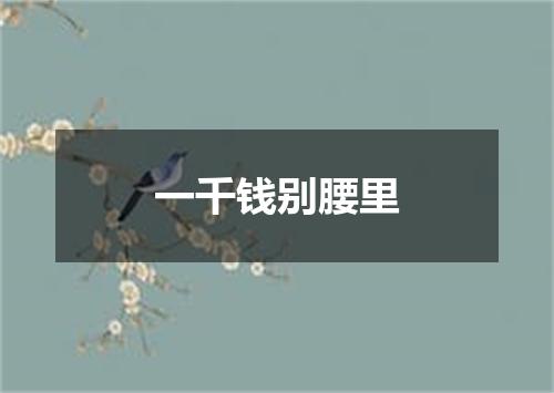 一千钱别腰里