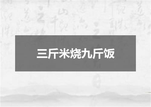 三斤米烧九斤饭