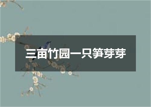 三亩竹园一只笋芽芽