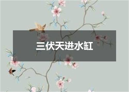 三伏天进水缸