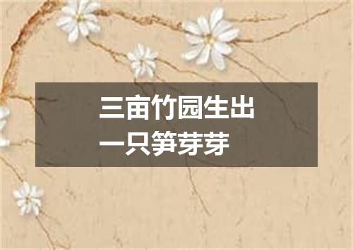 三亩竹园生出一只笋芽芽