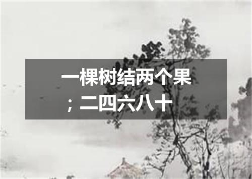 一棵树结两个果；二四六八十