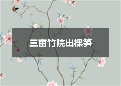 三亩竹院出棵笋