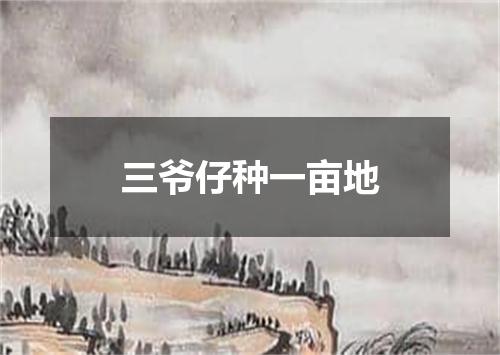 三爷仔种一亩地