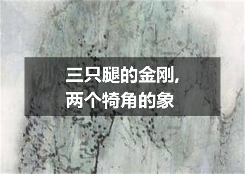 三只腿的金刚,两个犄角的象