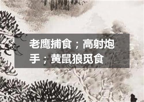 老鹰捕食；高射炮手；黄鼠狼觅食