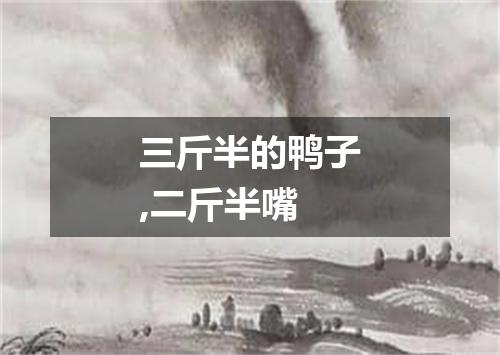 三斤半的鸭子,二斤半嘴