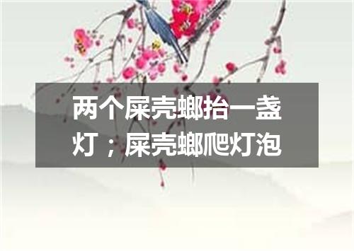 两个屎壳螂抬一盏灯；屎壳螂爬灯泡