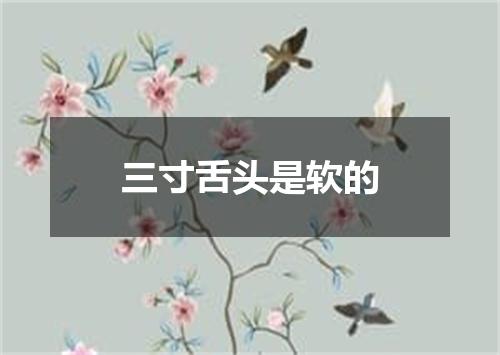 三寸舌头是软的