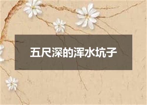 五尺深的浑水坑子